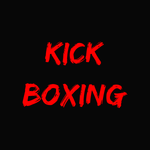 Casco Boxeo de barra CS425 - TopArtesMarciales